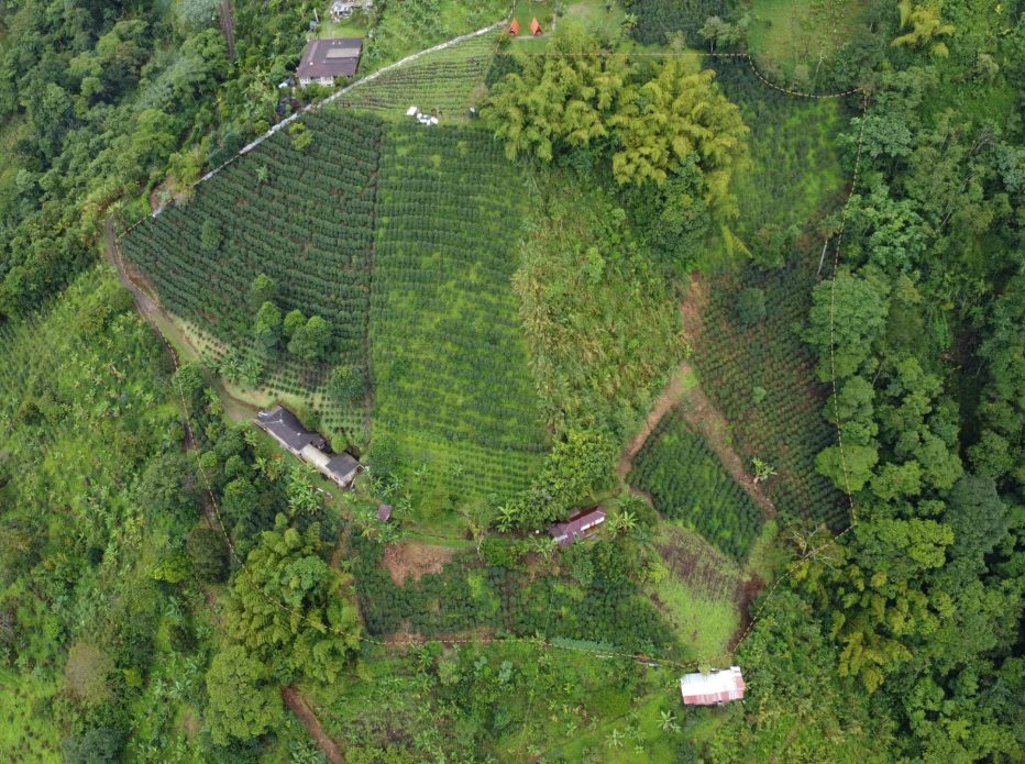 Finca-Irma-la-estrella-morron
